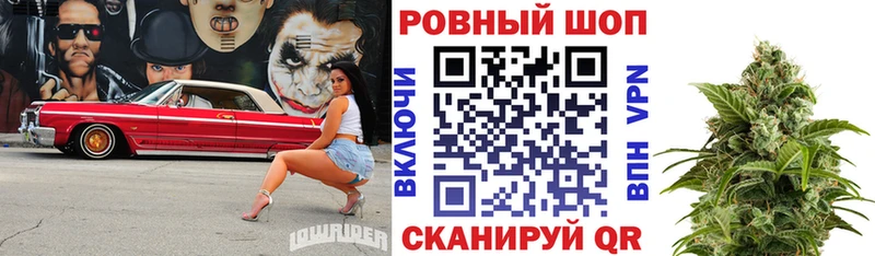 Купить наркотики цена Михайлов Каннабис  COCAIN  ГАШИШ  Псилоцибиновые грибы  Меф  СОЛЬ 