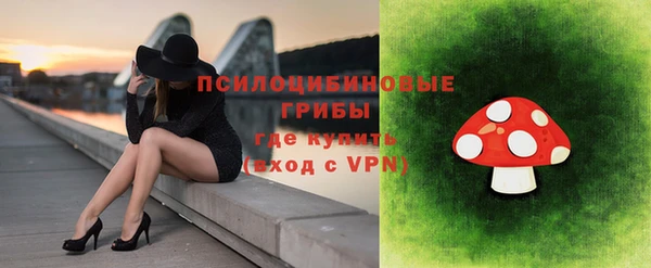 сатива Гусев