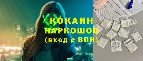 сатива Гусев