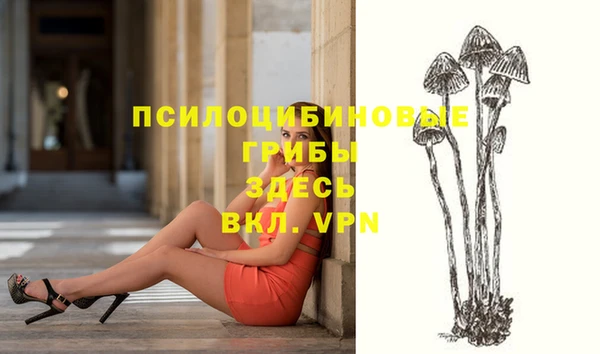 сатива Гусев