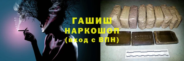 сатива Гусев