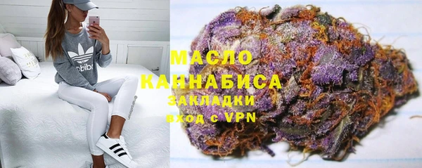 сатива Гусев