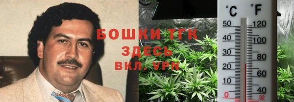 сатива Гусев