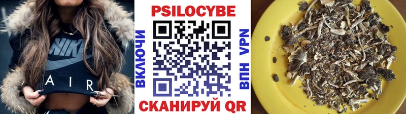 закладки  Михайлов  Псилоцибиновые грибы Psilocybe 